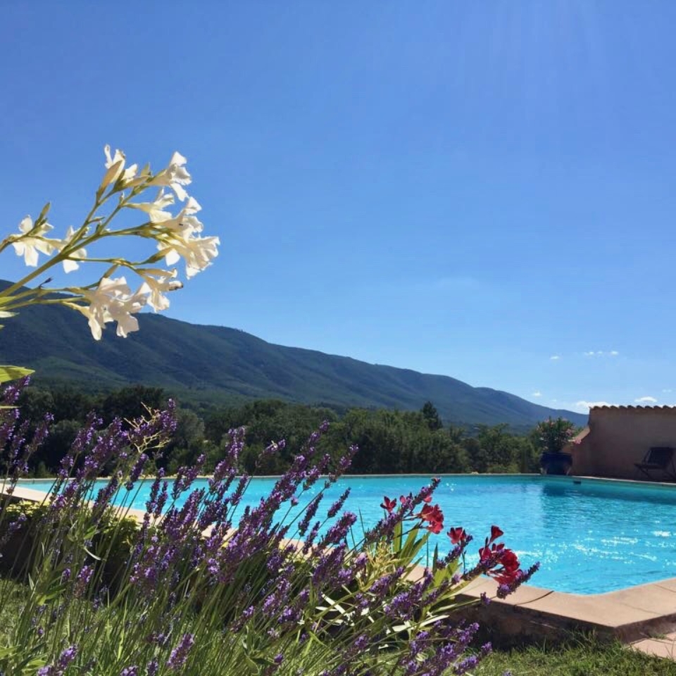 piscine et lauriers roses