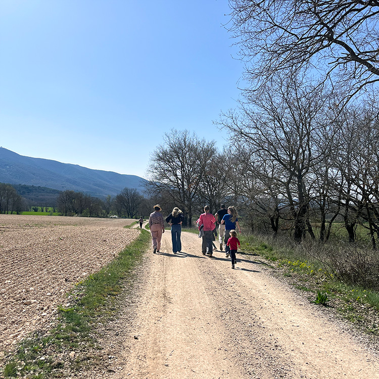 Ballade en Luberon