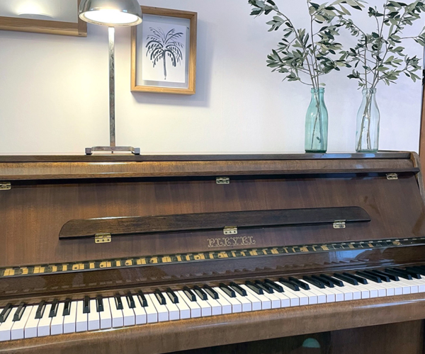 Bastide 1830 – Communs – Piano