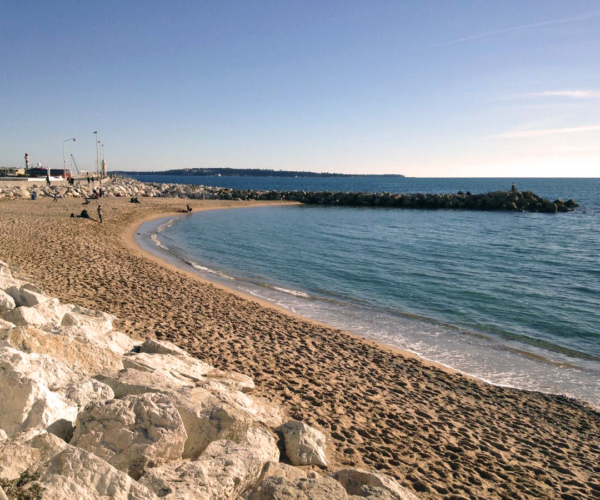 Cannes 15